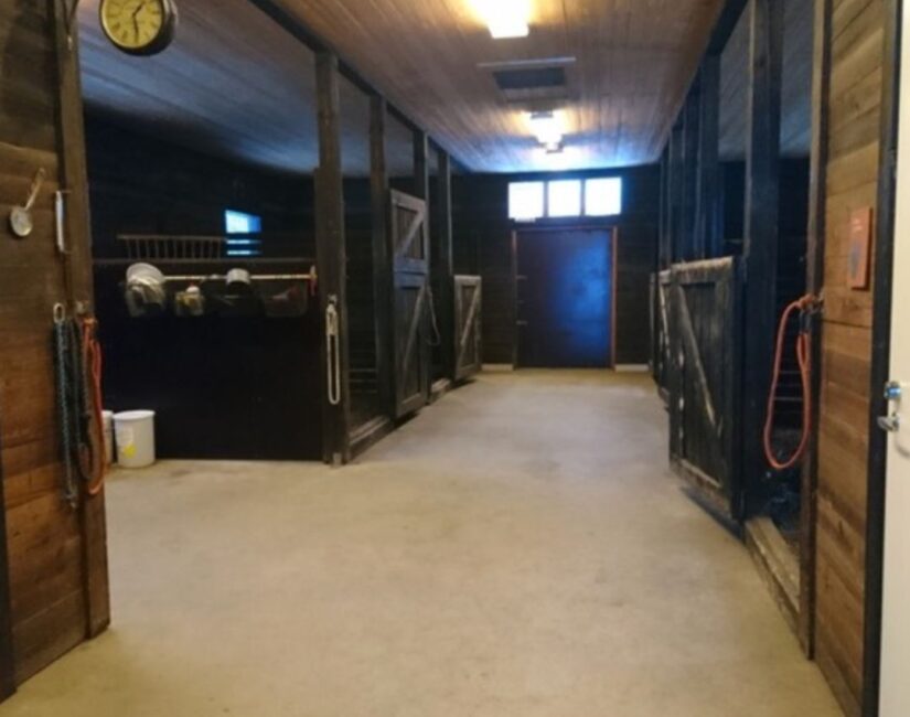 Siisti ja puhdas hevostalli