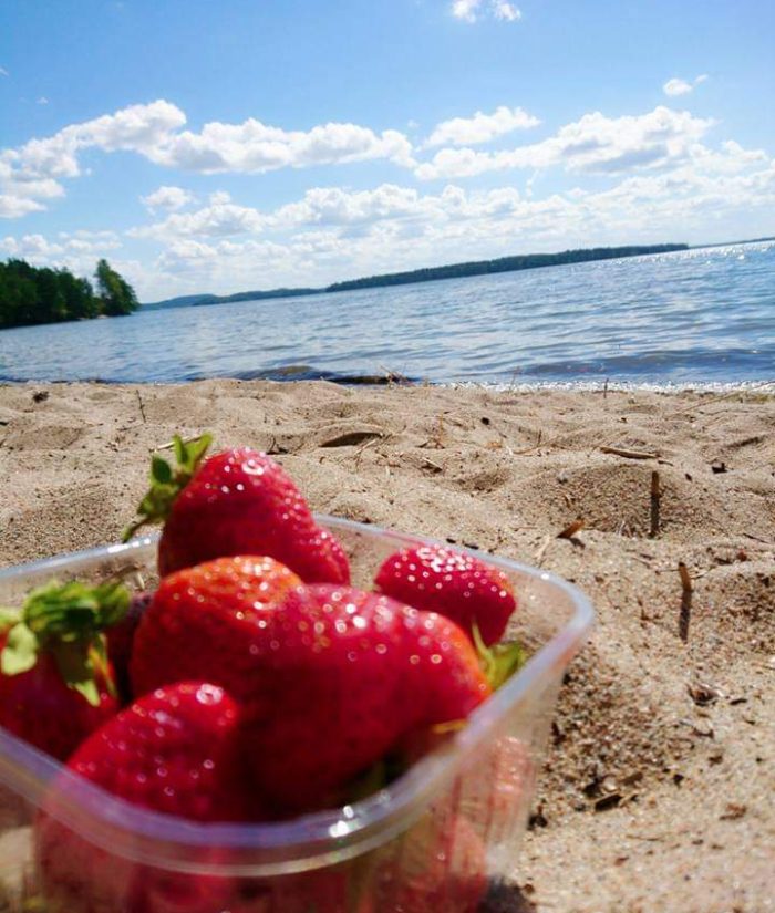 Mansikkarasia, hiekkaranta ja kaunis kesäpäivä