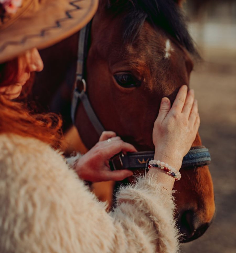 Nainen silittää hevosta